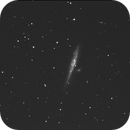 NGC4631 - La baleine Get