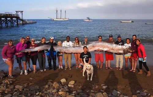 El Fin del Mundo según los Vikingos 3serpiente_mar-500x317