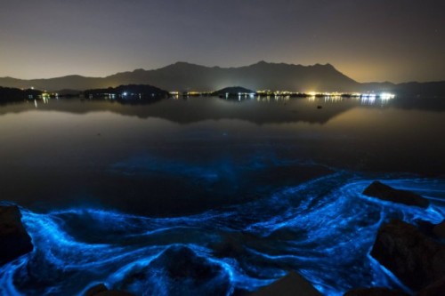 Misteriosas aguas fluorescentes en las playas de Hong Kong Aguas-fluorescentes-en-Japon-2-500x333