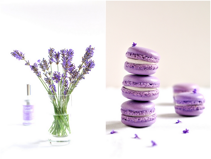 Fotografije lavande i svega,što je vezano za nju. - Page 2 Macarons_lavande_01