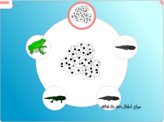 encyclopediainteractica موسوعة جميلة للأطفال 3