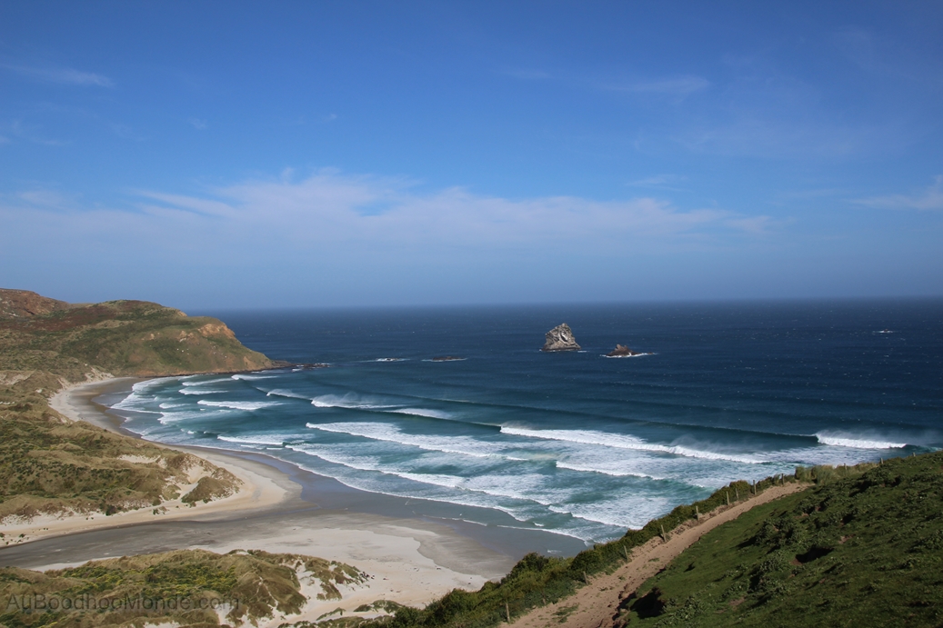 le site de Martin du 28 mai trouvé par Martine Nouvelle-Zelande-Otago-Peninsula-Sandfly-Bay