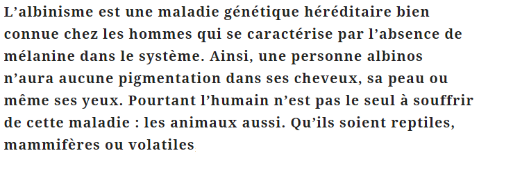 "Des grenouilles peu connues..."et autres... Albinos-texte_8