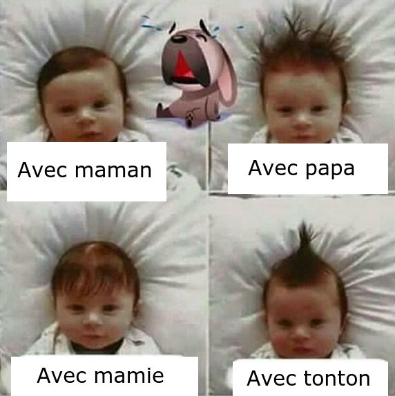 Humour sur tout ... - Page 31 Humour-bebe-coiffure