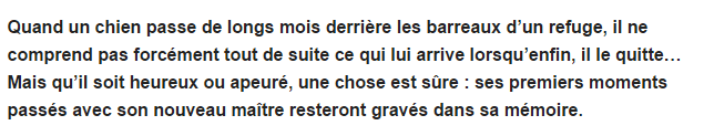 Les animaux (un peu de tout) Adoption-titre_2