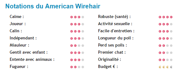 "Si tu as ou as eu un chien..."+"Chat: L'American Wirehair."+"Minou câline son ami...!"+ autres American-note_1