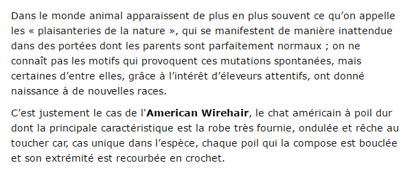 "Si tu as ou as eu un chien..."+"Chat: L'American Wirehair."+"Minou câline son ami...!"+ autres American-texte1_1