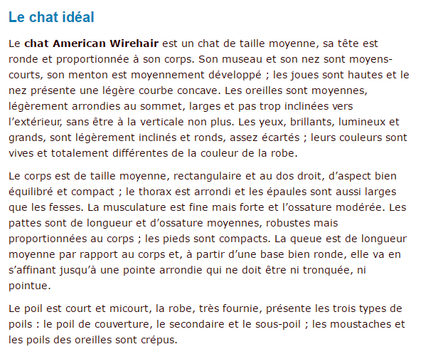 "Si tu as ou as eu un chien..."+"Chat: L'American Wirehair."+"Minou câline son ami...!"+ autres American-texte3_1