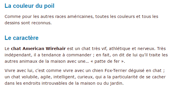 "Si tu as ou as eu un chien..."+"Chat: L'American Wirehair."+"Minou câline son ami...!"+ autres American-texte4_1