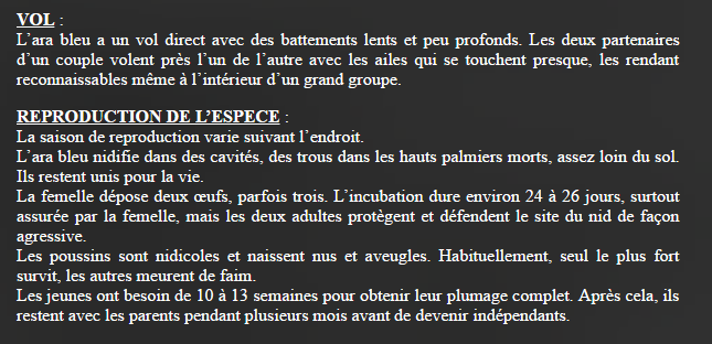 Tous les animaux!!!(un peu de tout  avec textes) Ara-bleu-texte2