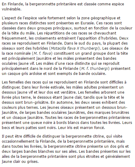 "Si tu as ou as eu un chien..."+"Chat: L'American Wirehair."+"Minou câline son ami...!"+ autres Bergeronette-texte2