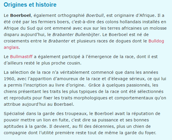 Textes et photos d'animaux Boerboel-texte2