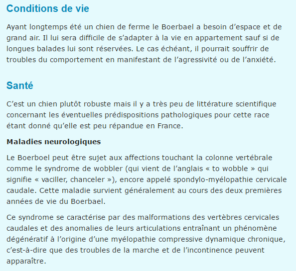 Textes et photos d'animaux Boerboel-texte4