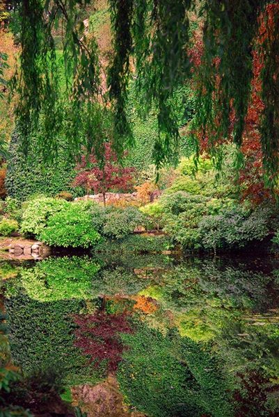 Ephéméride du....(toutes les années,personnages,pays..historiques,décès...) Canada-jardin5