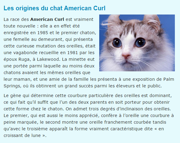 Nos fidèles amis les  animaux..... Chat-american-curl-texte