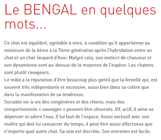 Tous les animaux.... Chat-bengal-texte2