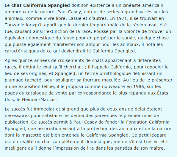 Nos fidèles amis les  animaux..... Chat-california-spangled-texte