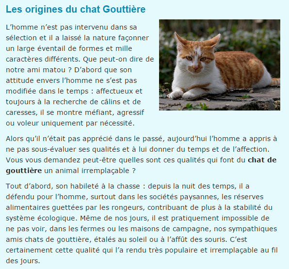 "Le ouistiti pygmée, tout petit, tout mignon...!"+ Chat-gouttiere-texte1