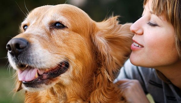 Tous les animaux!!!(un peu de tout  avec textes) Chien-comprends-photo1