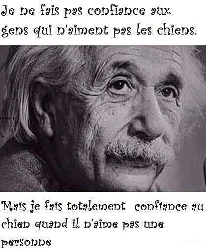 Nouvelles petites citations Citation-albert-einstein