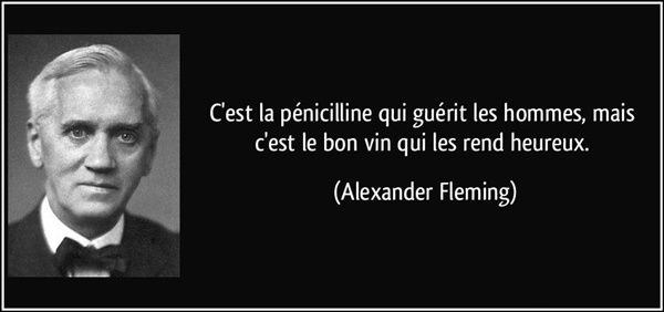 Nouvelles petites citations Citation-alexander