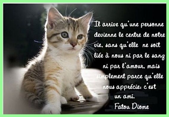 Nouvelles petites citations Citation-ami