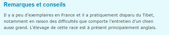 "Eux aussi aiment les fleurs...!"(animaux,un peu de tout... photos et textes.) Dogue-du-tibet-texte3