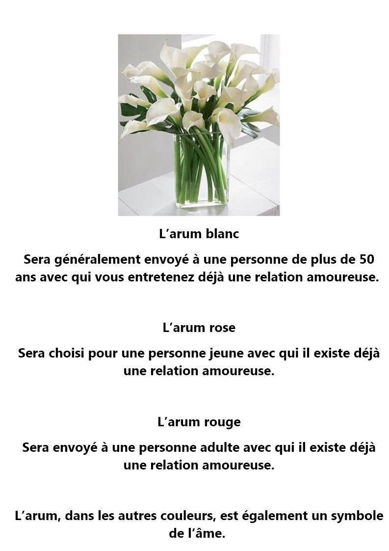 langage - Le langage des fleurs: jonquille," la glycine." et autres..... Fl1
