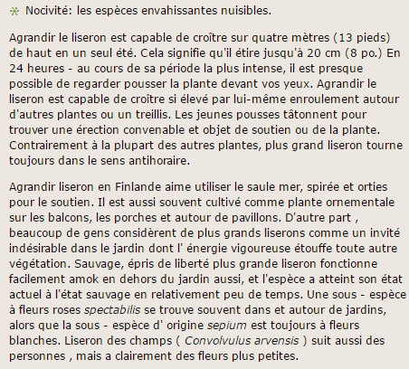 On parle un peu de tout!!! Fleur-liseron-texte