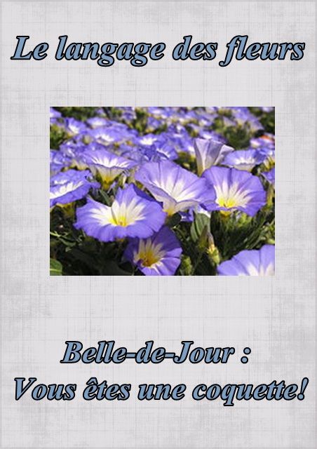 langage - Le langage des fleurs: jonquille," la glycine." et autres..... Fleur25belledejour