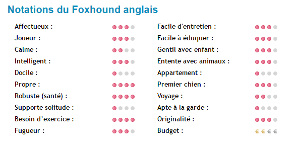 "Si tu as ou as eu un chien..."+"Chat: L'American Wirehair."+"Minou câline son ami...!"+ autres Foxhund-note