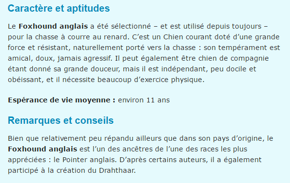 "Si tu as ou as eu un chien..."+"Chat: L'American Wirehair."+"Minou câline son ami...!"+ autres Foxhund-texte2