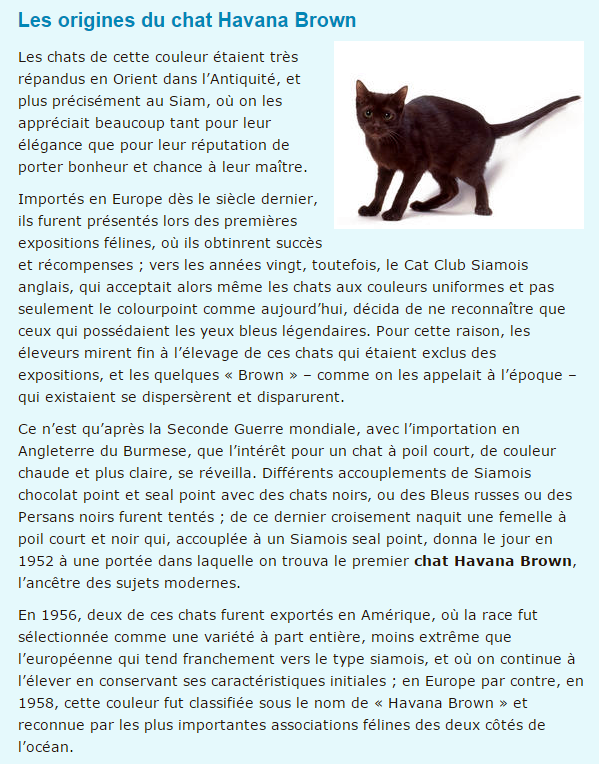 Histoire d'animaux (photos et textes????) Havana-texte1