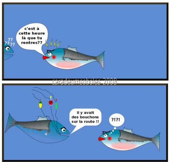 BLAGUES-HISTOIRES DROLES Humour-poissons