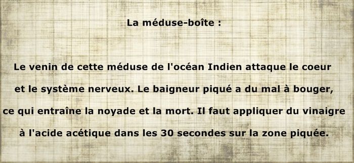 RECORDS DU MONDE...(un peu de tout....) Insomeduse