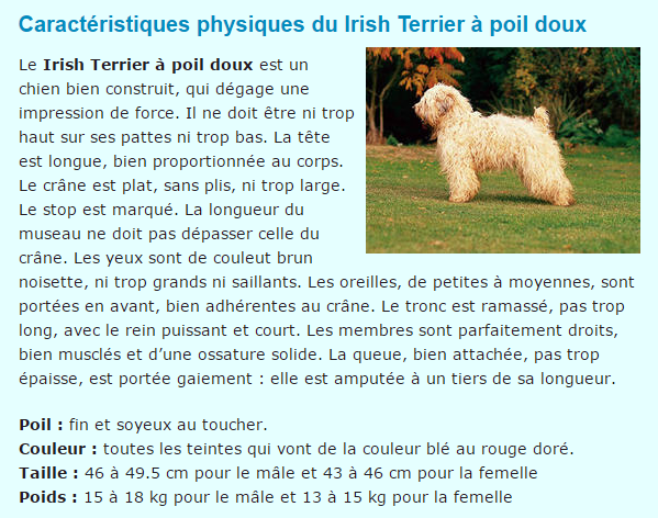 Tous les animaux.... Irish-titre