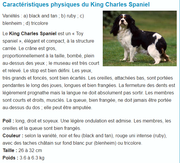 Tous les animaux.... King-charles-titre