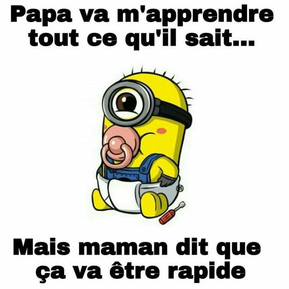 Rions un peu Minion09_1