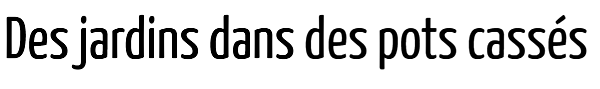 "Recycler les pots cassés..."  + autres articles à venir??? Pots-casses-titre