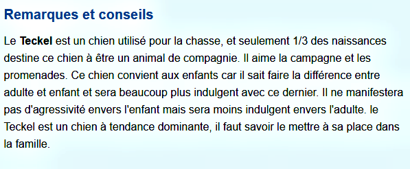 Tous les animaux!!!(un peu de tout  avec textes) Teckel-texte3