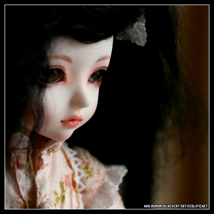 Marion ( CH Petite Hanael ] 01