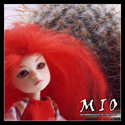 Mio [ Elfdoll MinDelRe ] // UP & grenouilles P2 - Page 2 Mio14