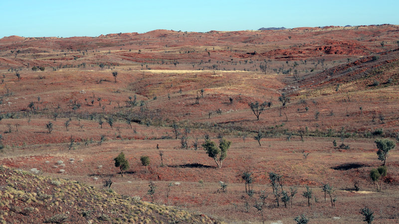 Nullagine gold 2018 Hills