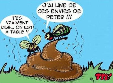 Manger des insectes? 1247807090