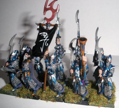 Mon Armée d'Elfes Noirs 2463499399_small_1