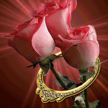 Te regalo una rosa - Página 15 2885897484_1