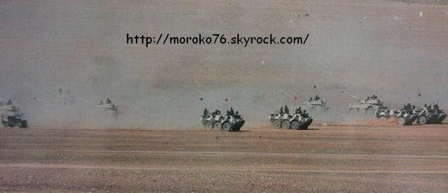 اللواء الاول للمشاة المظليين المغربي  945424260