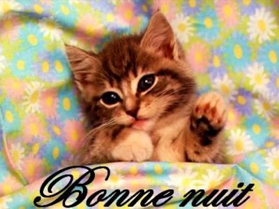 Un petit bonjour ! - Page 2 Jism76qk