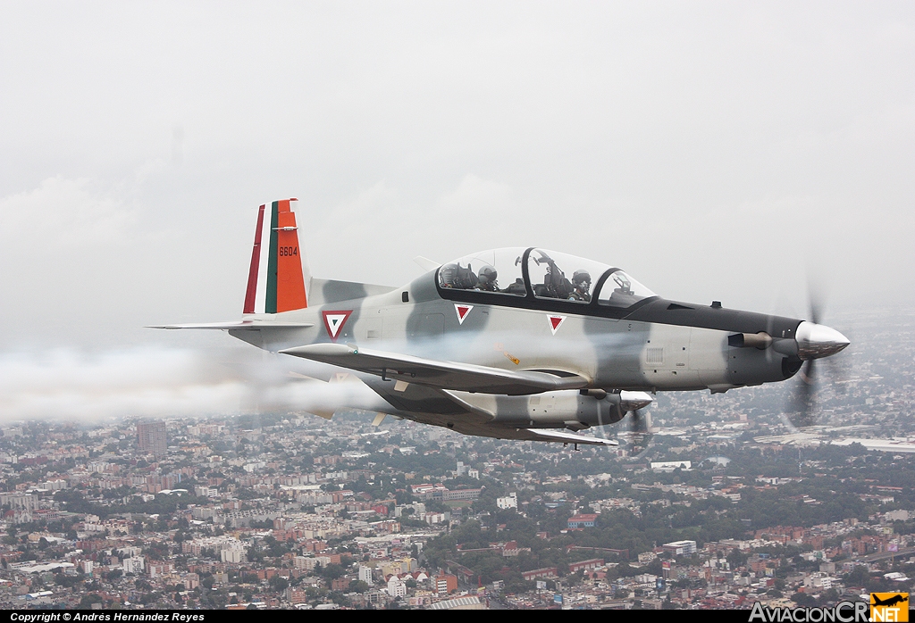 Beechcraft T6C  Texan  de la  FAM - Página 12 Avcr_72362