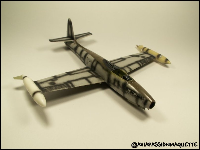 RF84G (f84g) Thunderjet [HobbyBoss] 1/72  RF84G%20001